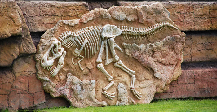 5 carnivorous dinosaurs