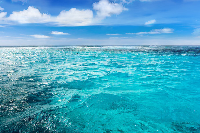 how-much-of-the-earth-s-water-is-contained-in-oceans-trivia-genius