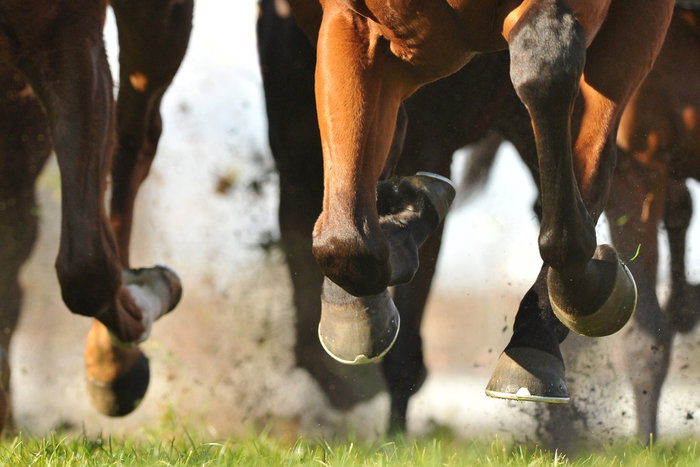 where-is-the-oldest-annual-horse-race-trivia-genius